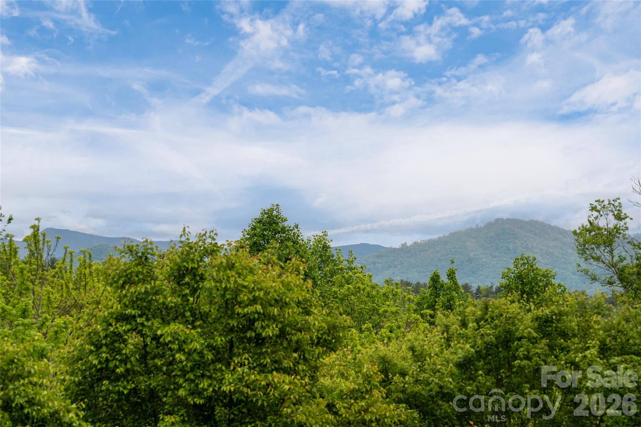 56 Donna Lane Alexander NC 28701