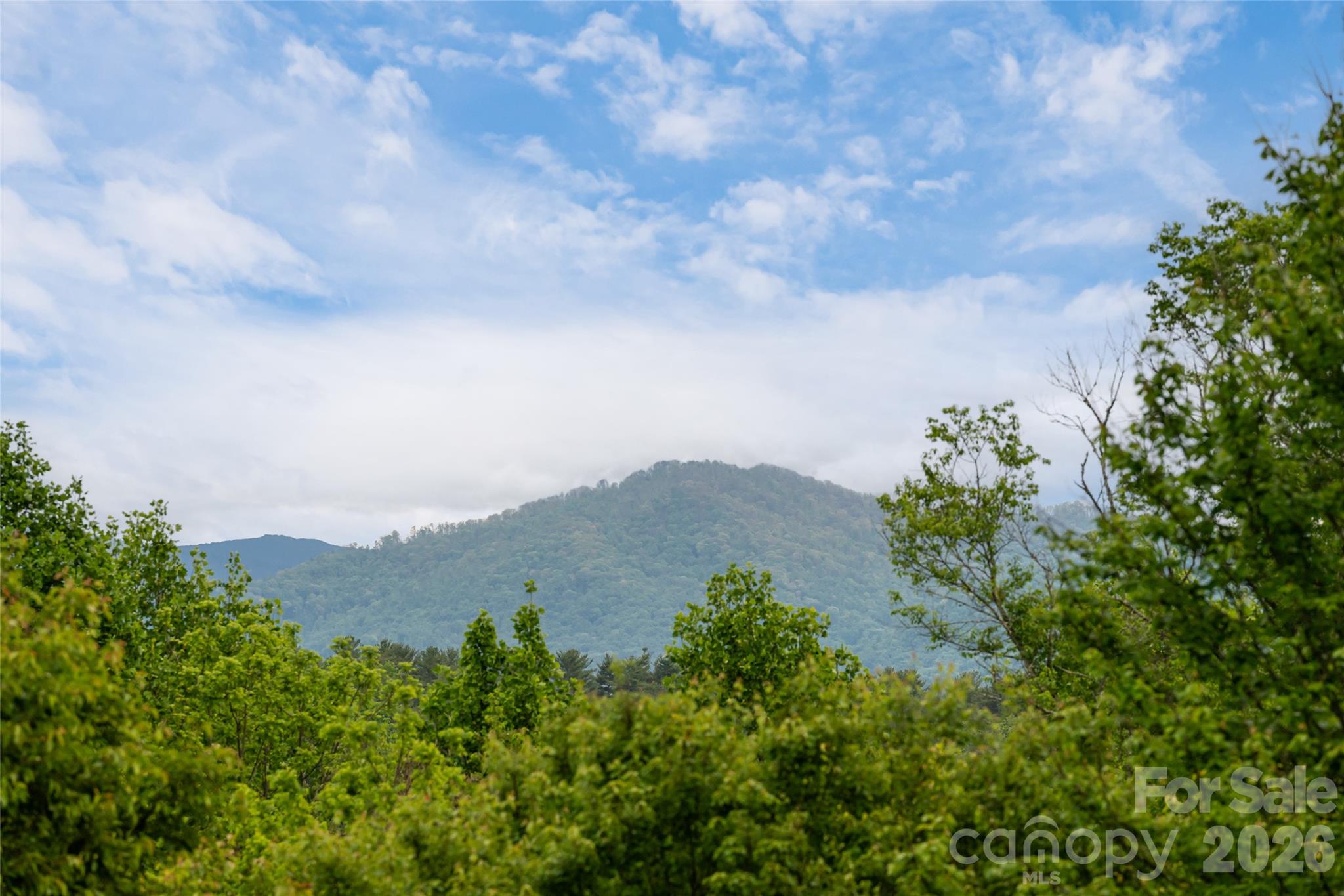 56 Donna Lane Alexander NC 28701