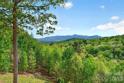 965 Grandview Peaks Drive Nebo NC 28761