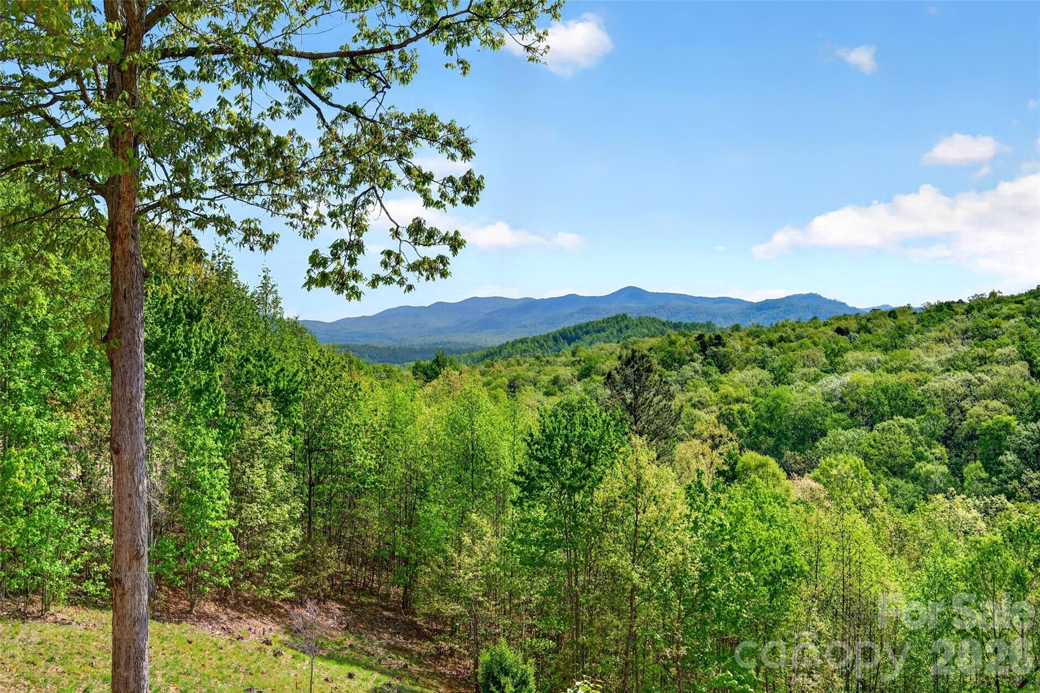965 Grandview Peaks Drive Nebo NC 28761