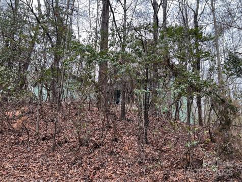 397 Soquili Drive Brevard NC 28712