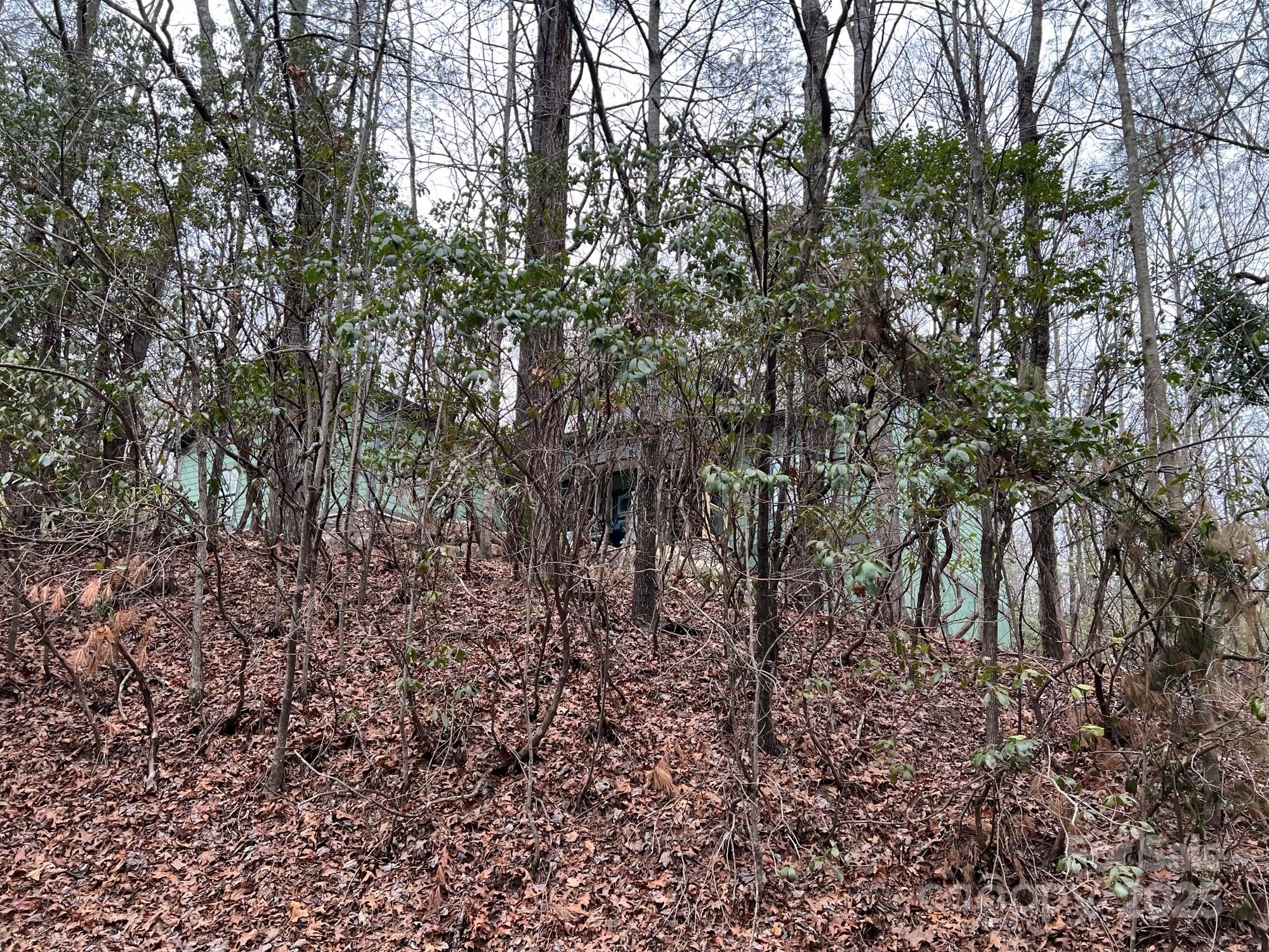 397 Soquili Drive Brevard NC 28712