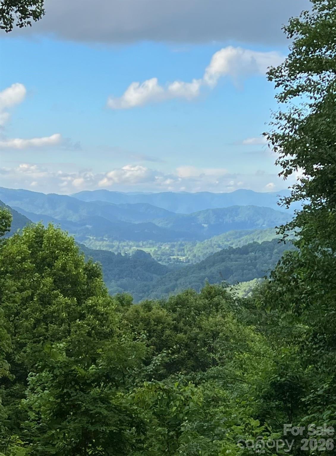 105 Dotsu Trail Maggie Valley NC 28751