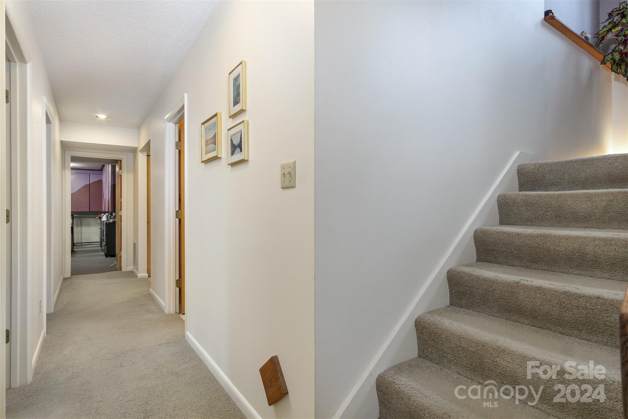 115 Ballantree Drive Asheville NC 28803