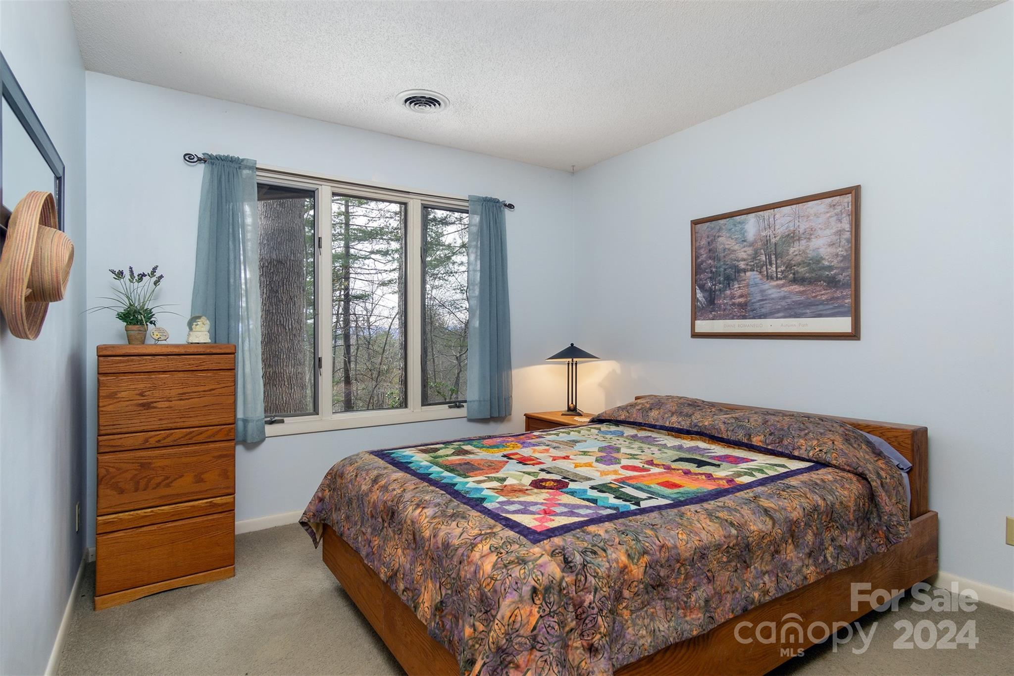 115 Ballantree Drive Asheville NC 28803