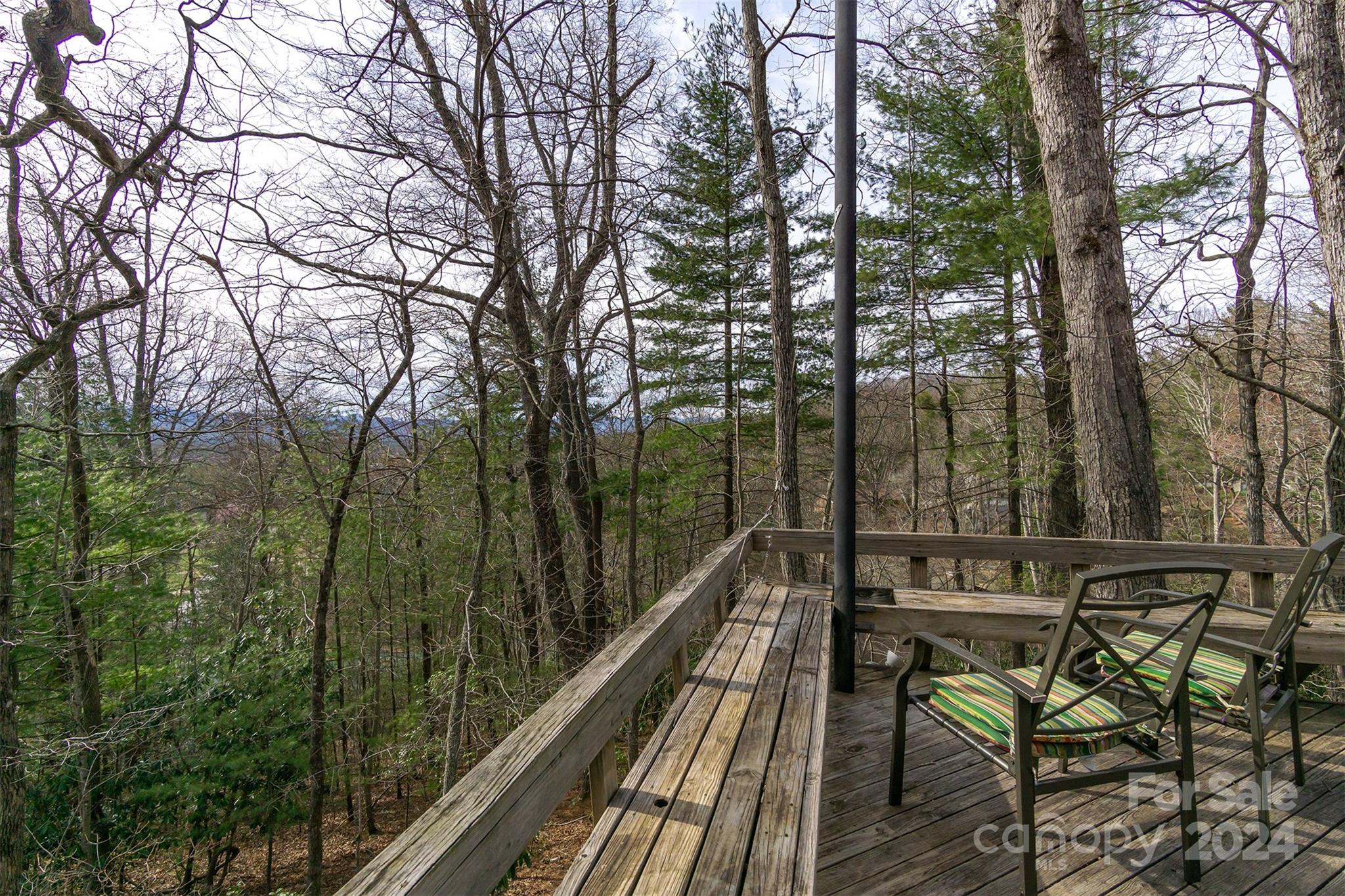 115 Ballantree Drive Asheville NC 28803