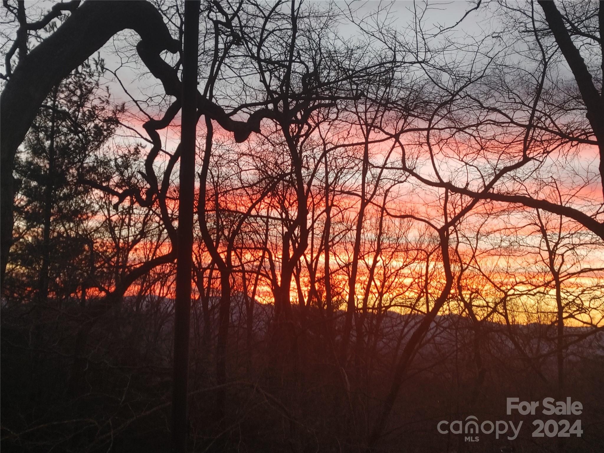 115 Ballantree Drive Asheville NC 28803