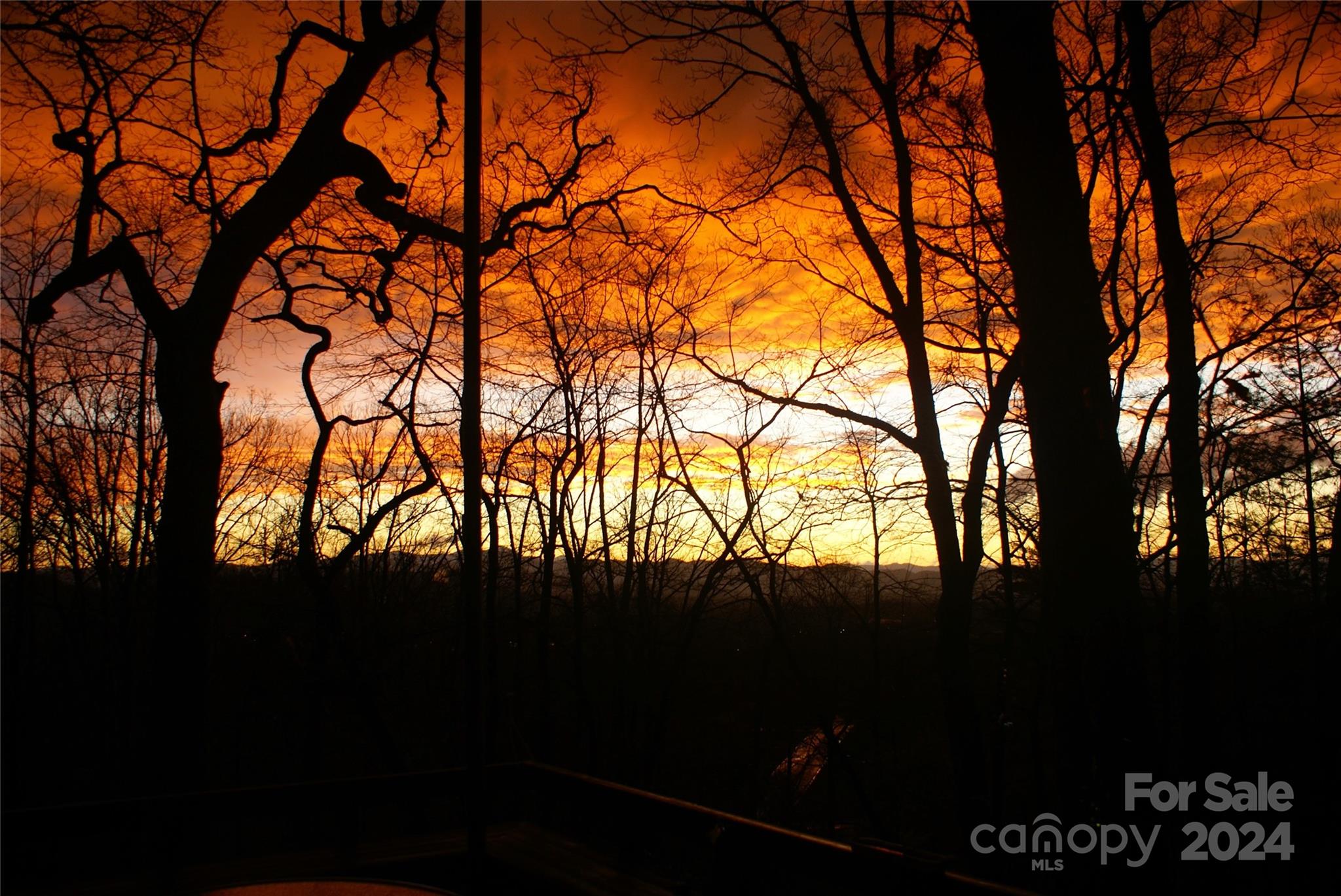 115 Ballantree Drive Asheville NC 28803