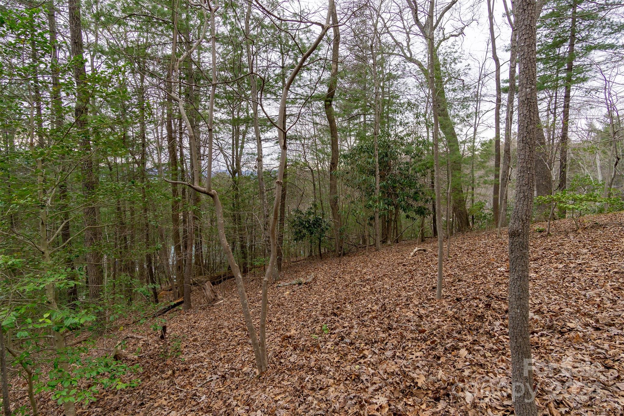 115 Ballantree Drive Asheville NC 28803