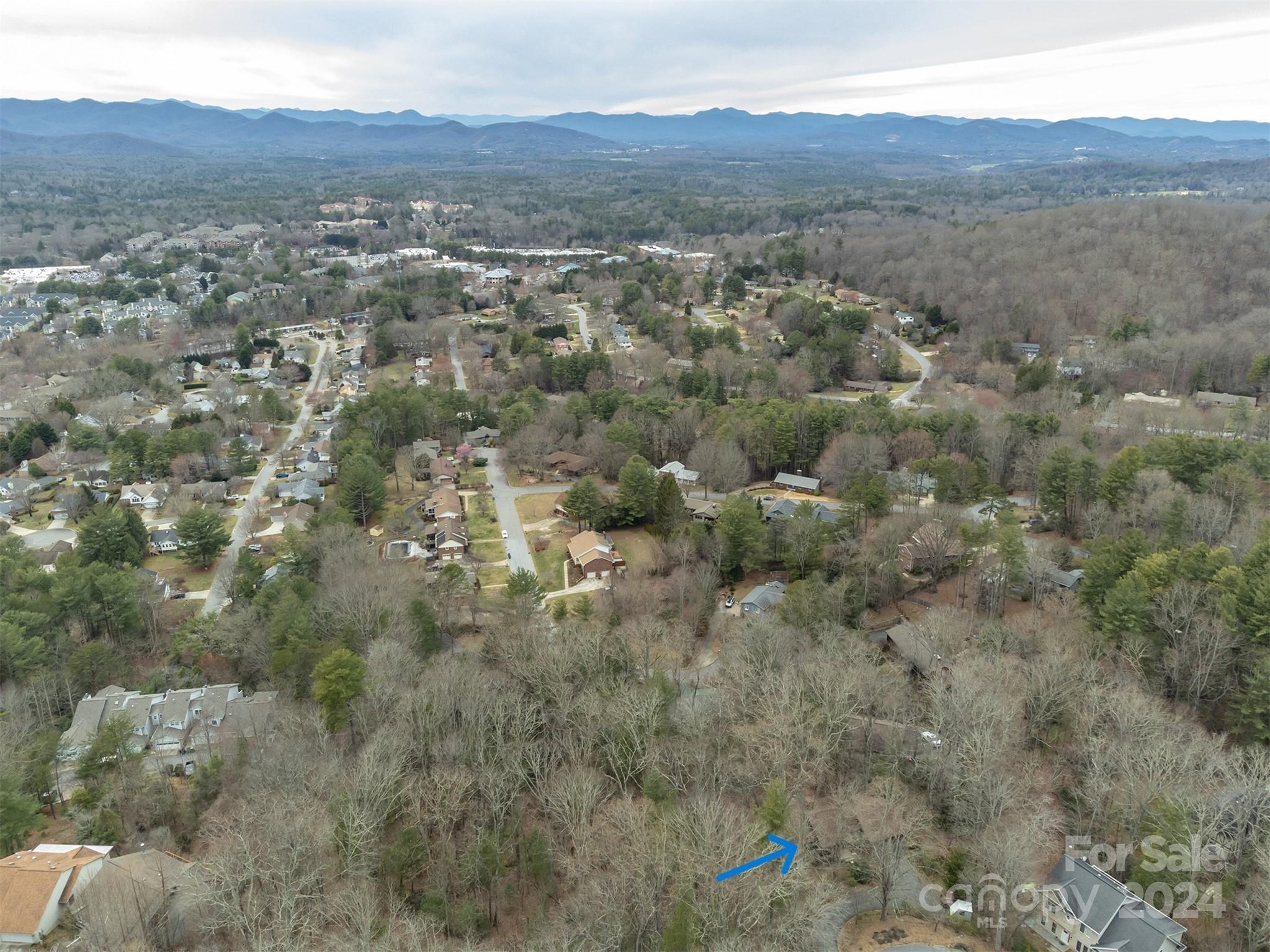 115 Ballantree Drive Asheville NC 28803