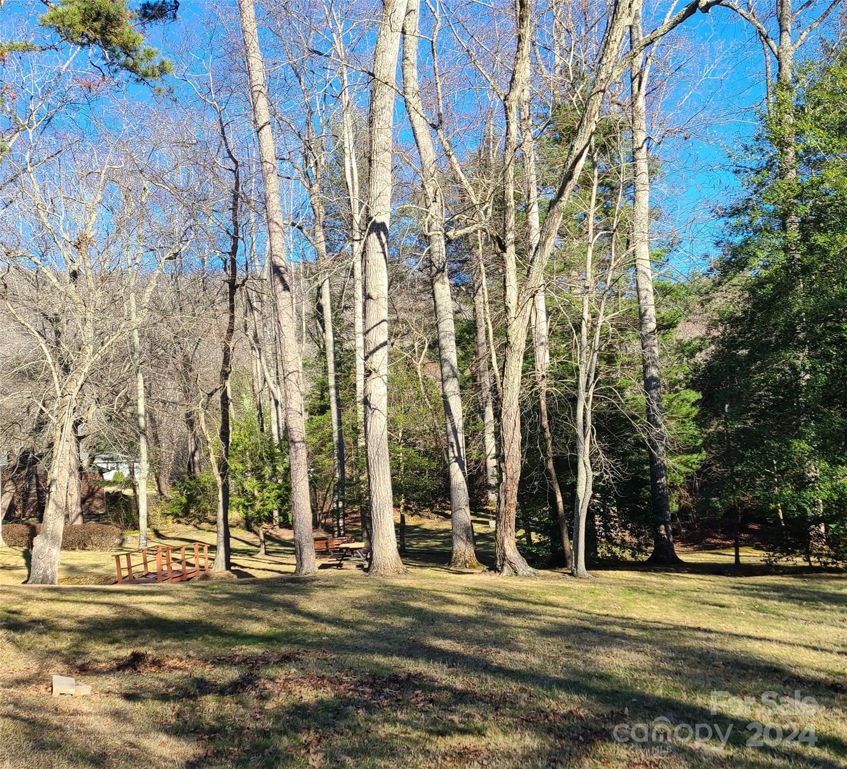 115 Ballantree Drive Asheville NC 28803