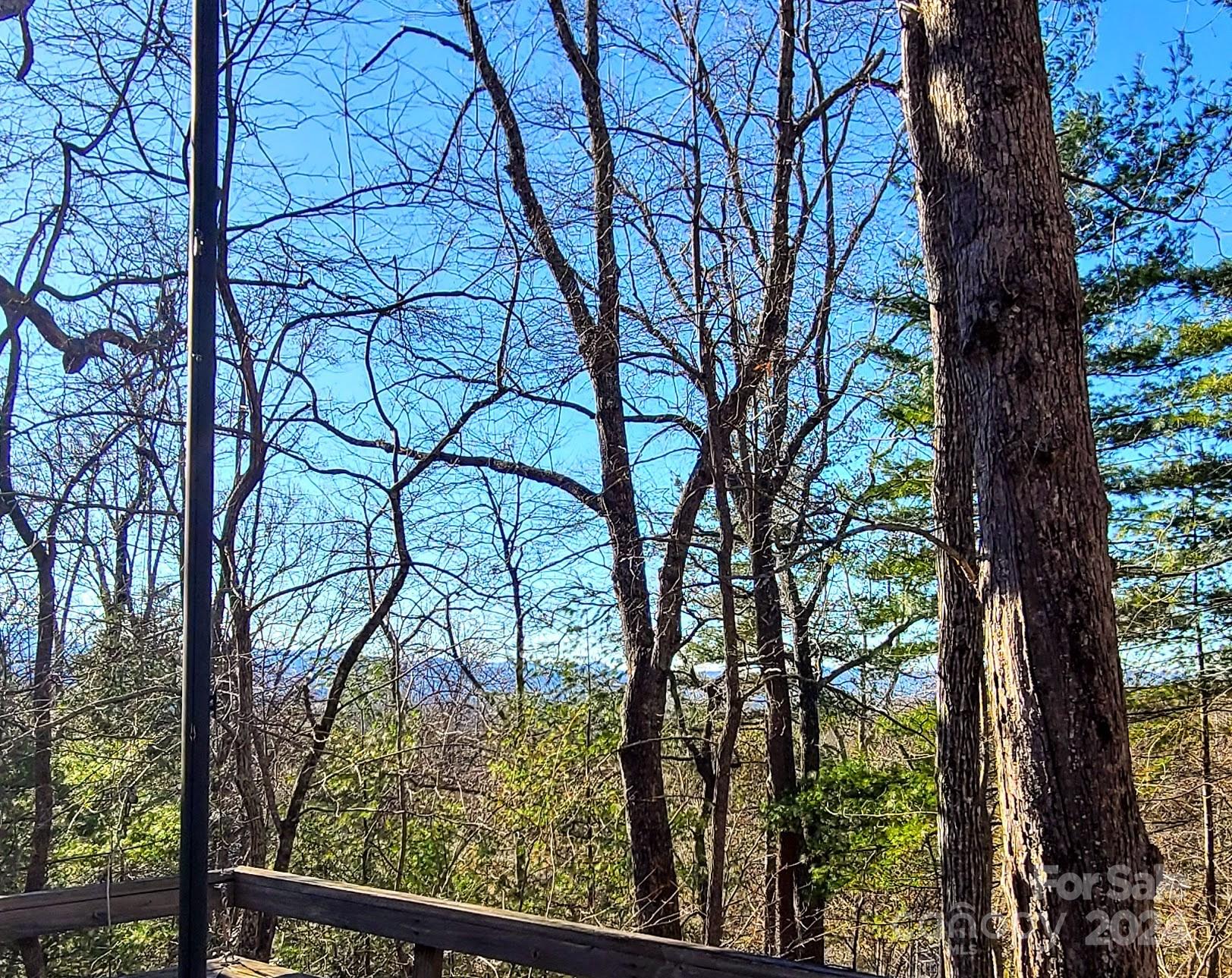 115 Ballantree Drive Asheville NC 28803