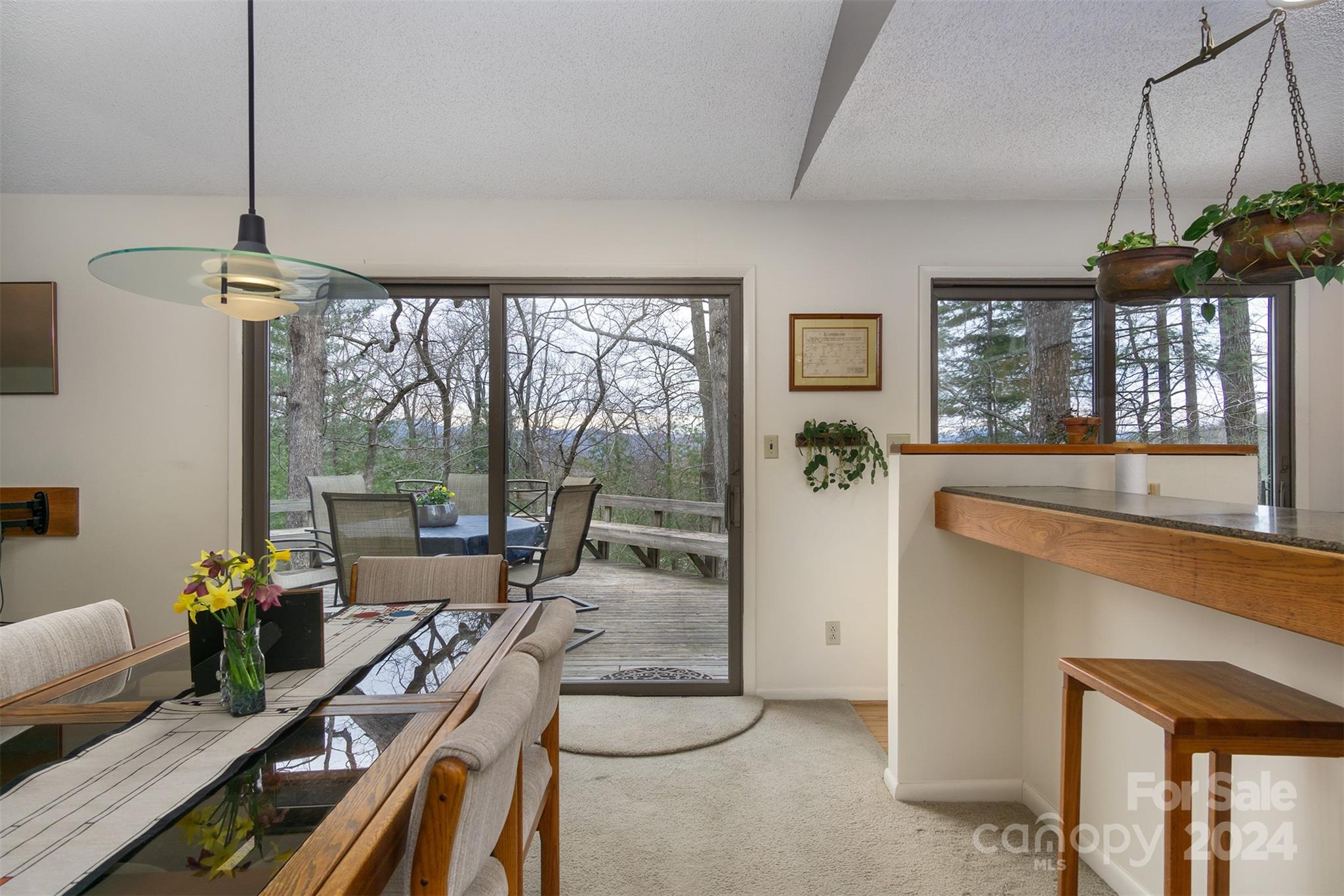 115 Ballantree Drive Asheville NC 28803