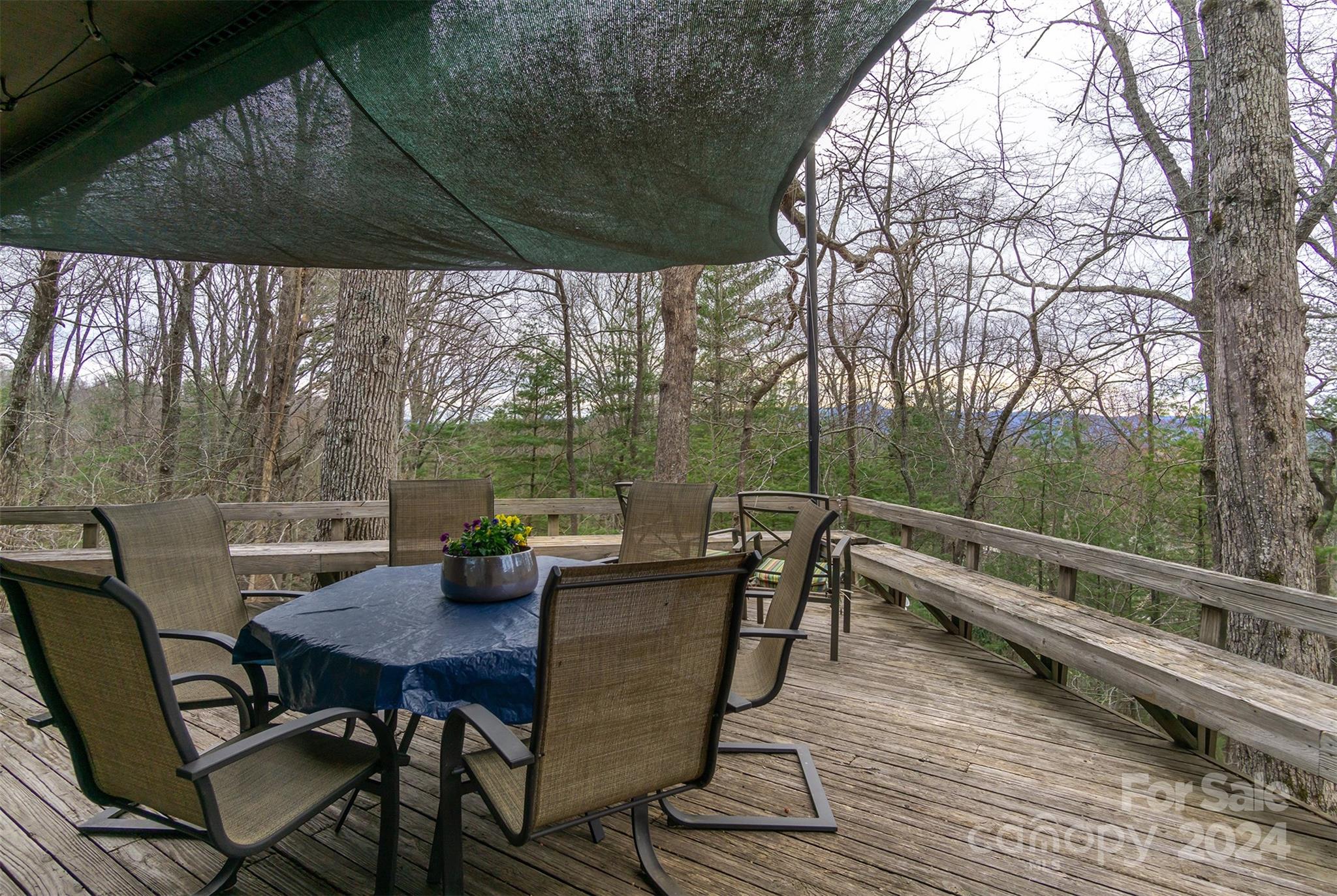 115 Ballantree Drive Asheville NC 28803