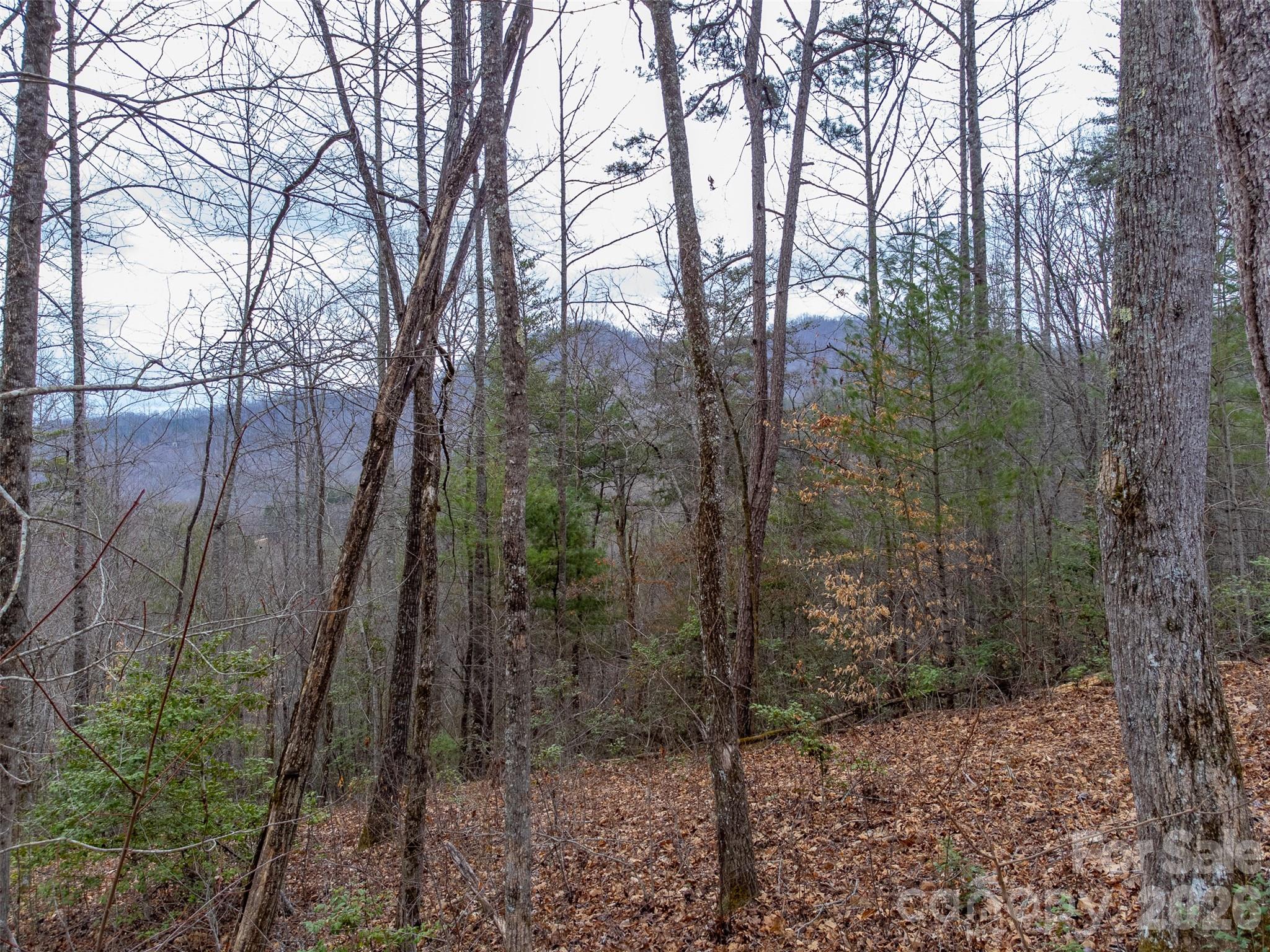 201 Woodhaven Estates Sylva NC 28779