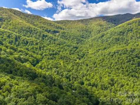 39 Great Aspen Way Black Mountain NC 28711