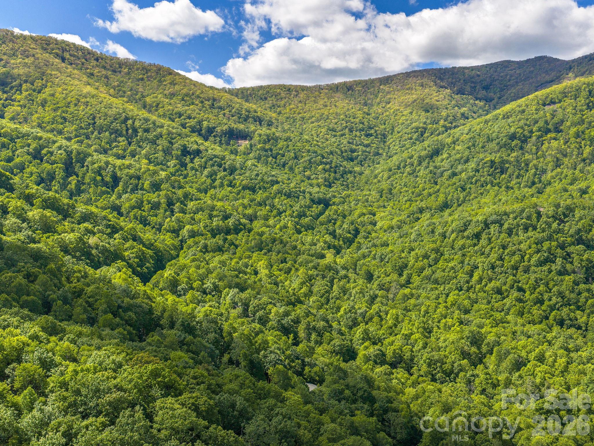 39 Great Aspen Way Black Mountain NC 28711