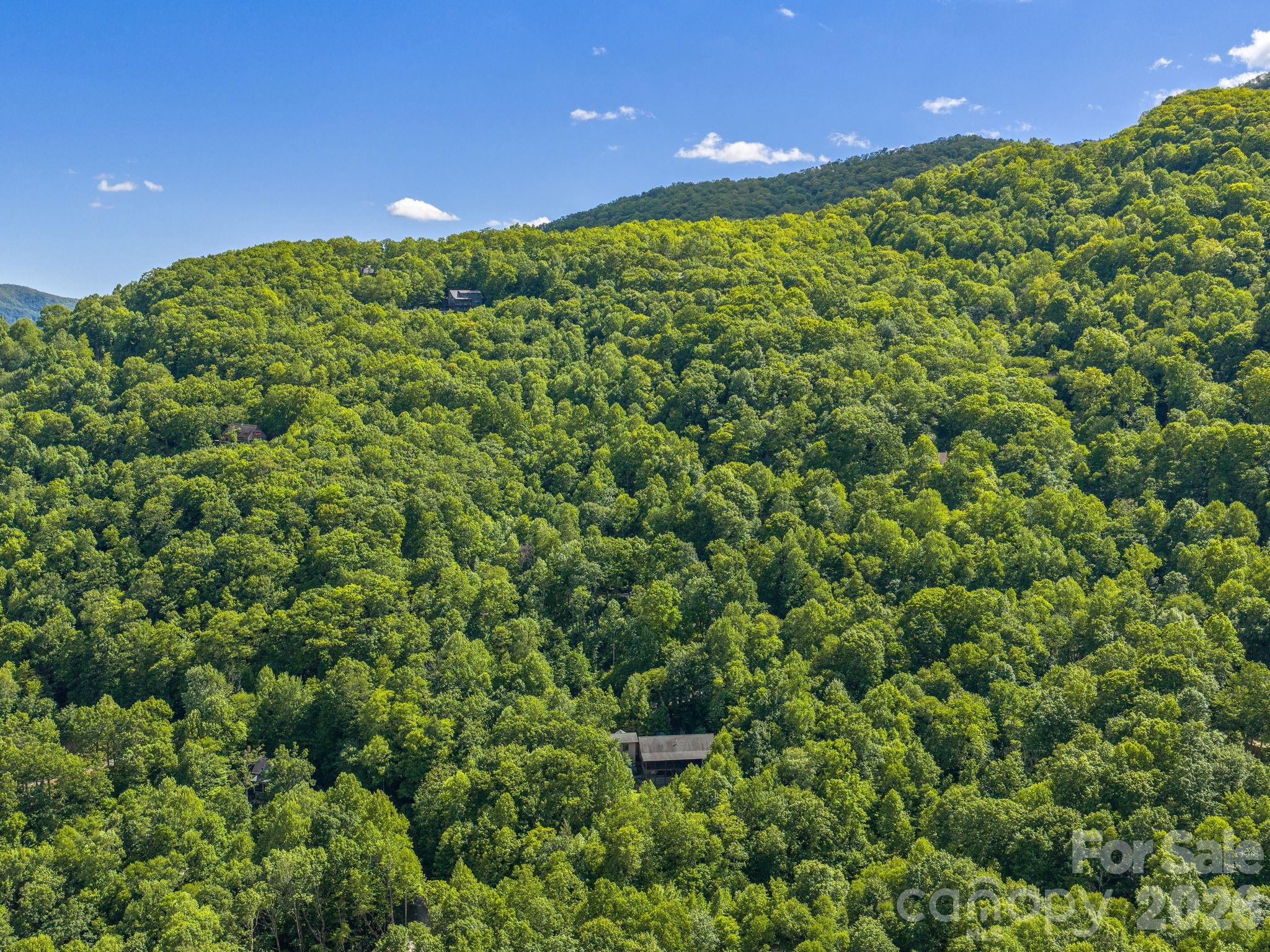 39 Great Aspen Way Black Mountain NC 28711