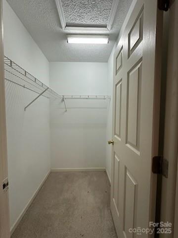 39 Vine Street Woodfin NC 28804