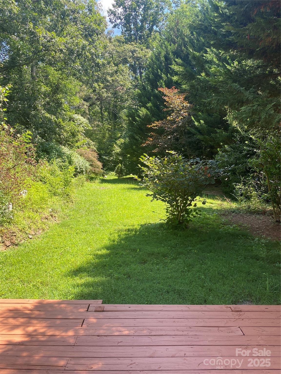 39 Vine Street Woodfin NC 28804