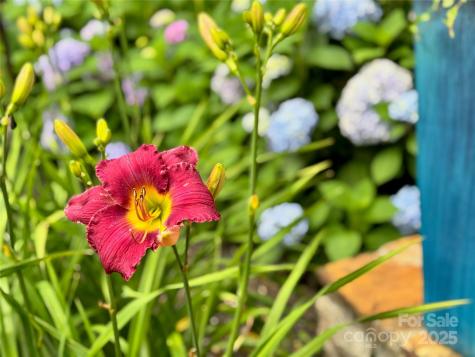 48 And 56 Chimney Crest Drive Asheville NC 28806