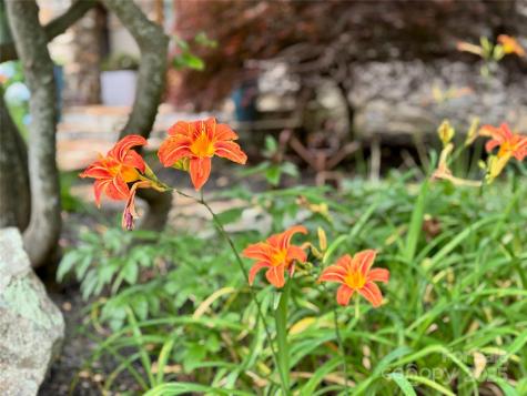 48 And 56 Chimney Crest Drive Asheville NC 28806