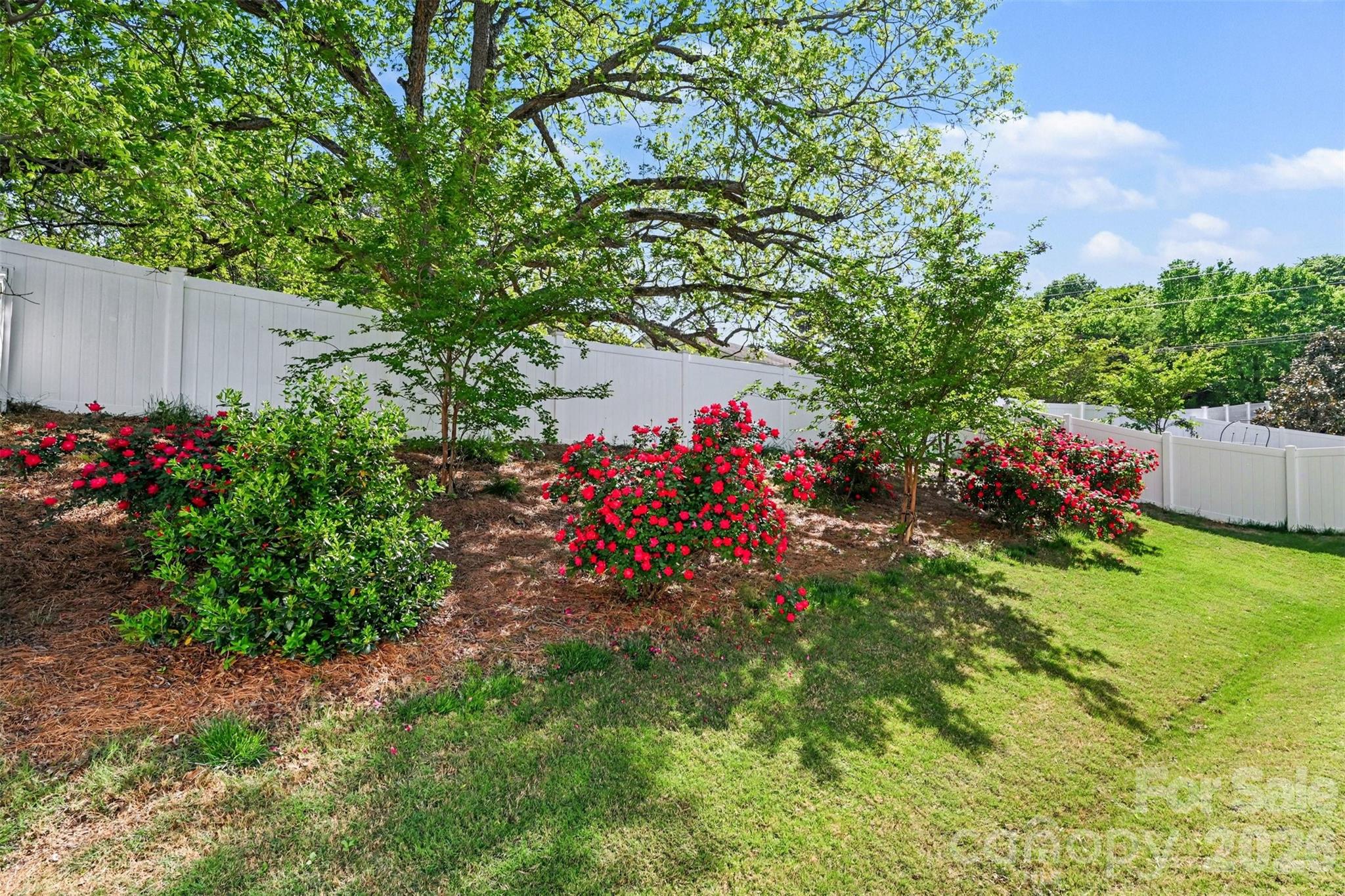 5010 Whitman Avenue Matthews NC 28105