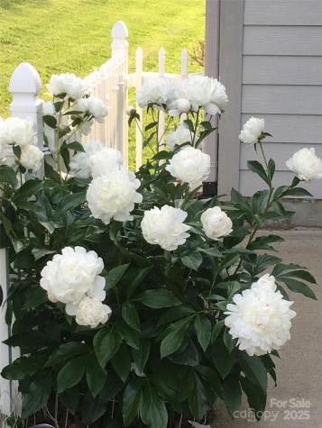 23 Holiday Drive Arden NC 28704