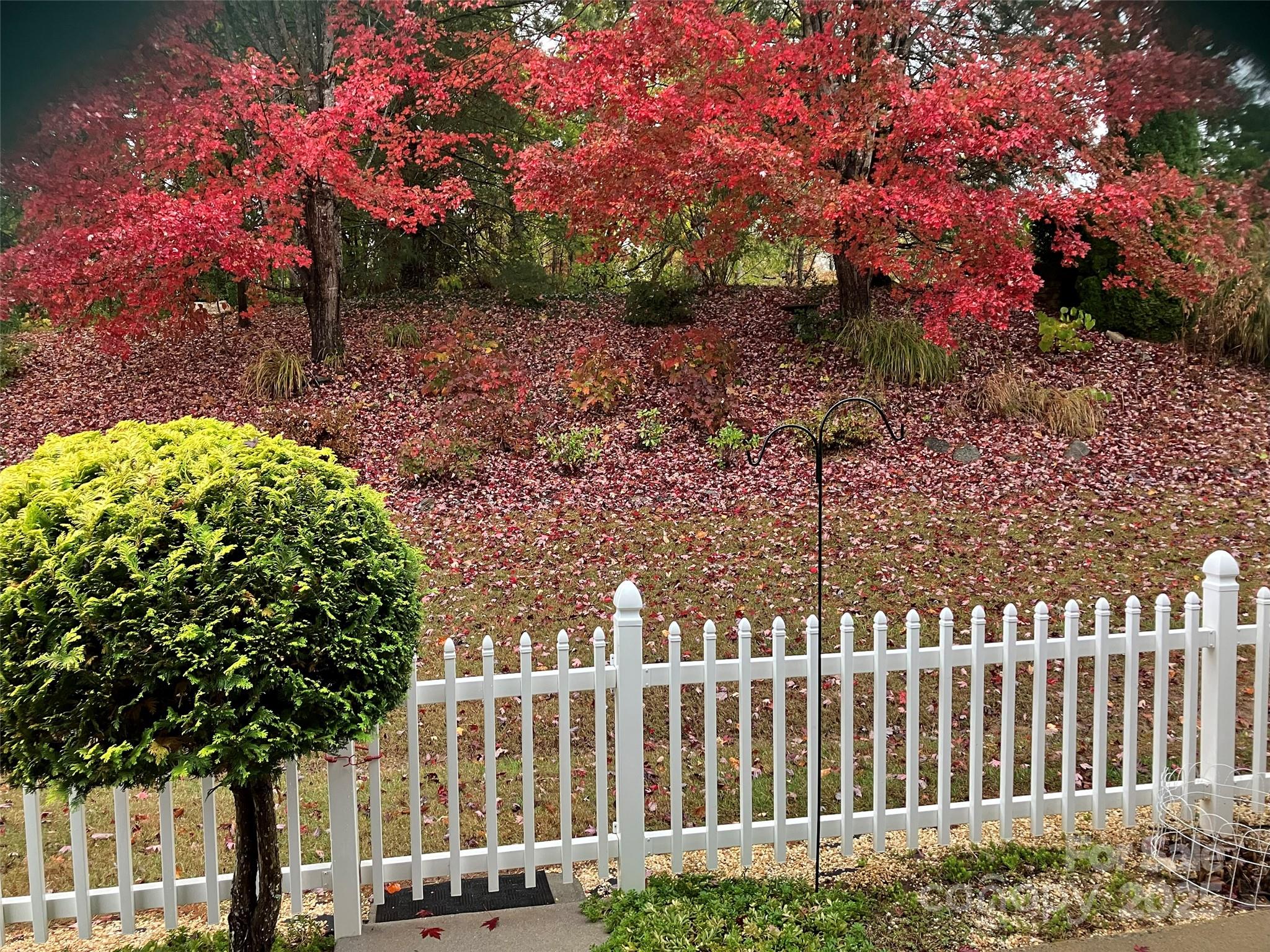 23 Holiday Drive Arden NC 28704