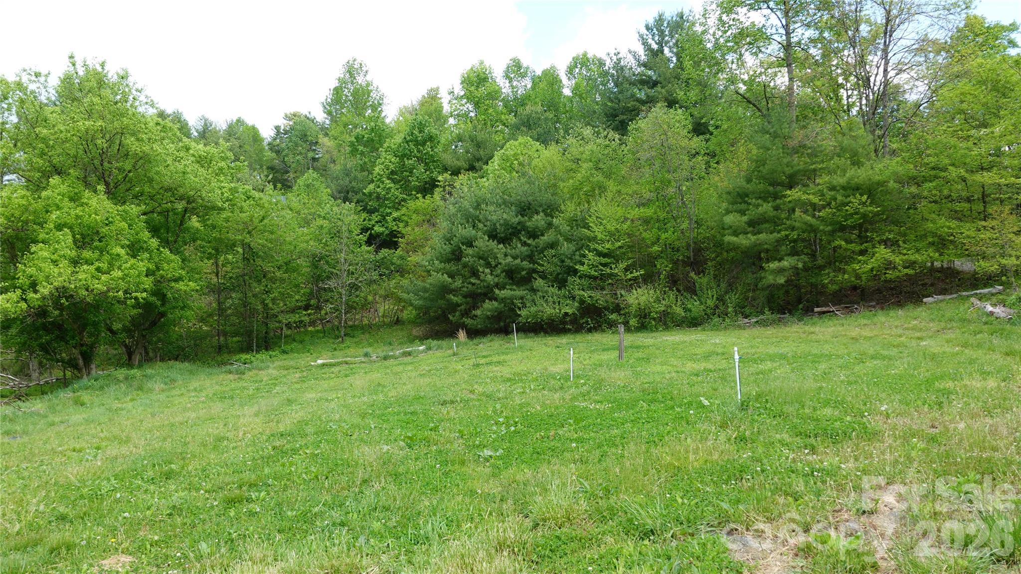 3151 Lumptown Road Marshall NC 28753