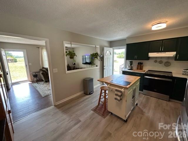 191 Celeste Eufola Road Statesville NC 28677