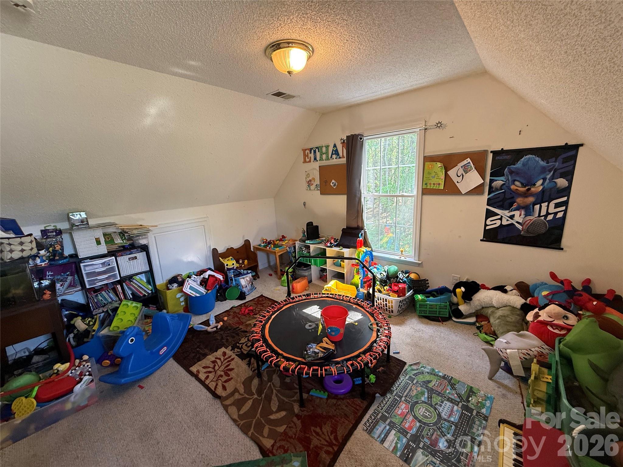 600 Blossom Hill Road Lincolnton NC 28092