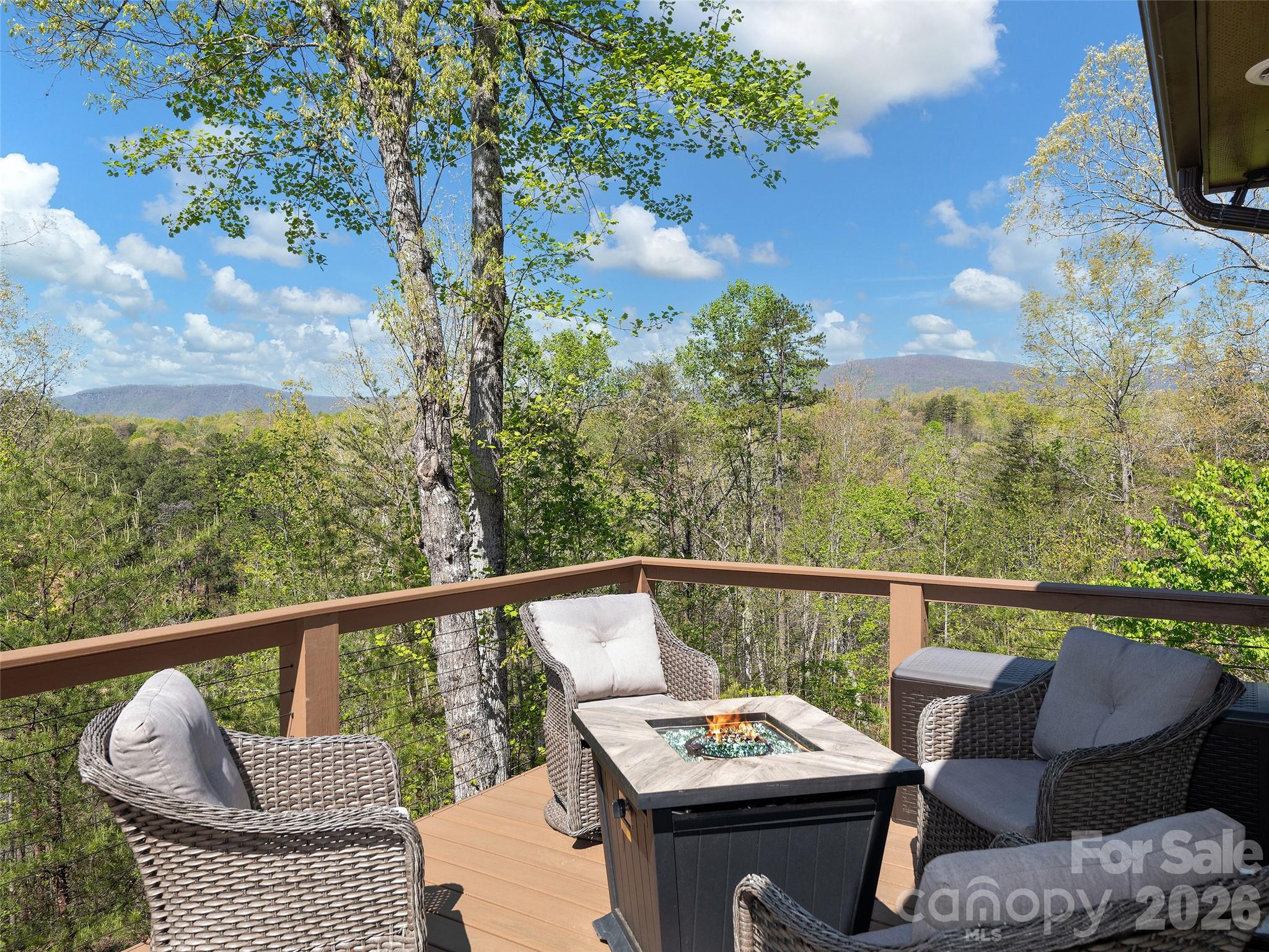 308 North Coast Drive Mill Spring NC 28756