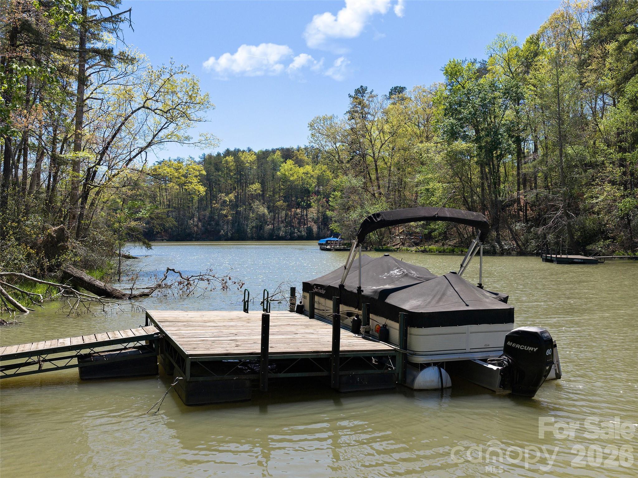 308 North Coast Drive Mill Spring NC 28756