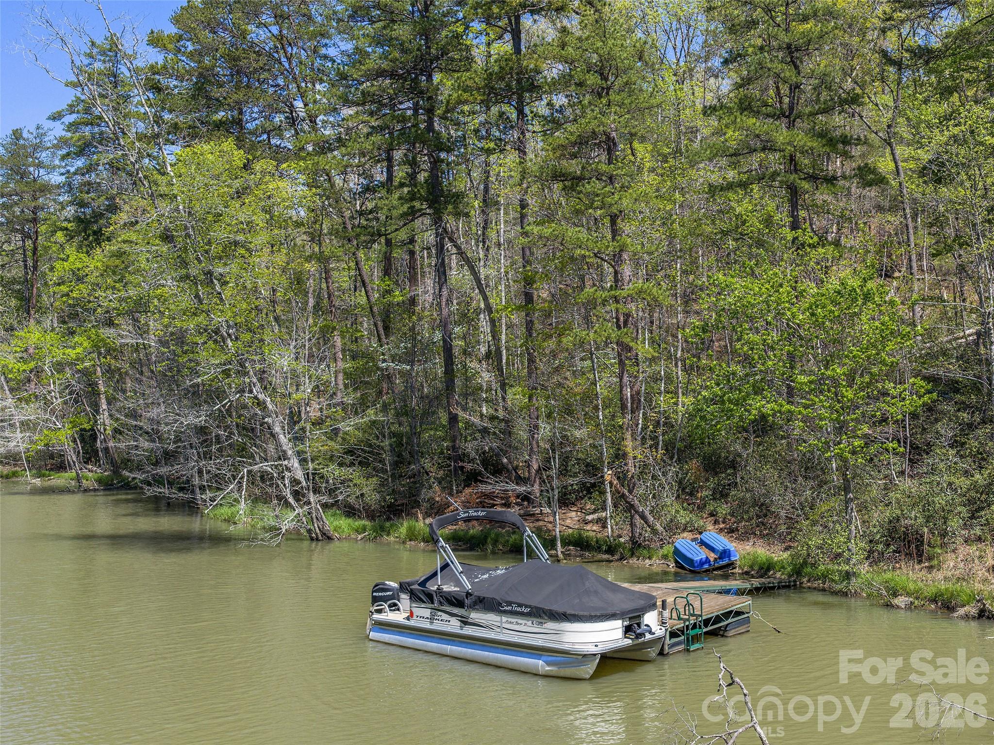 308 North Coast Drive Mill Spring NC 28756
