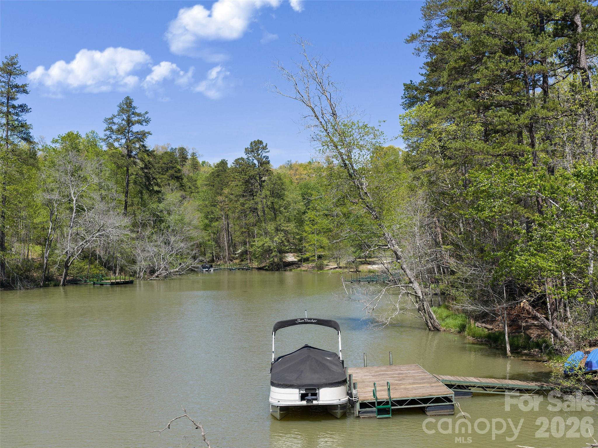 308 North Coast Drive Mill Spring NC 28756