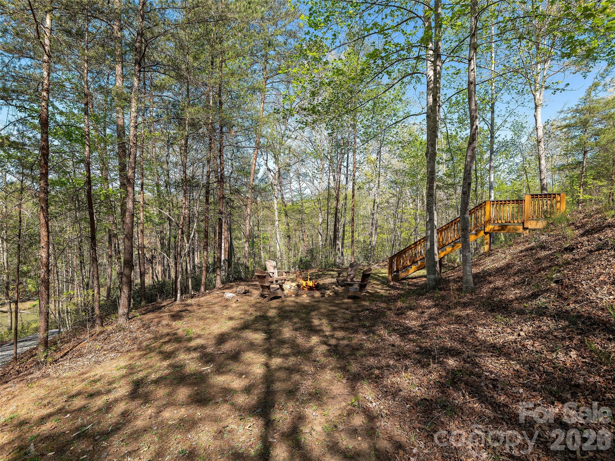 308 North Coast Drive Mill Spring NC 28756
