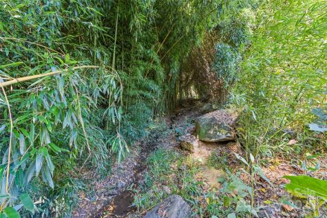 1807 Fisher Creek Road Sylva NC 28779