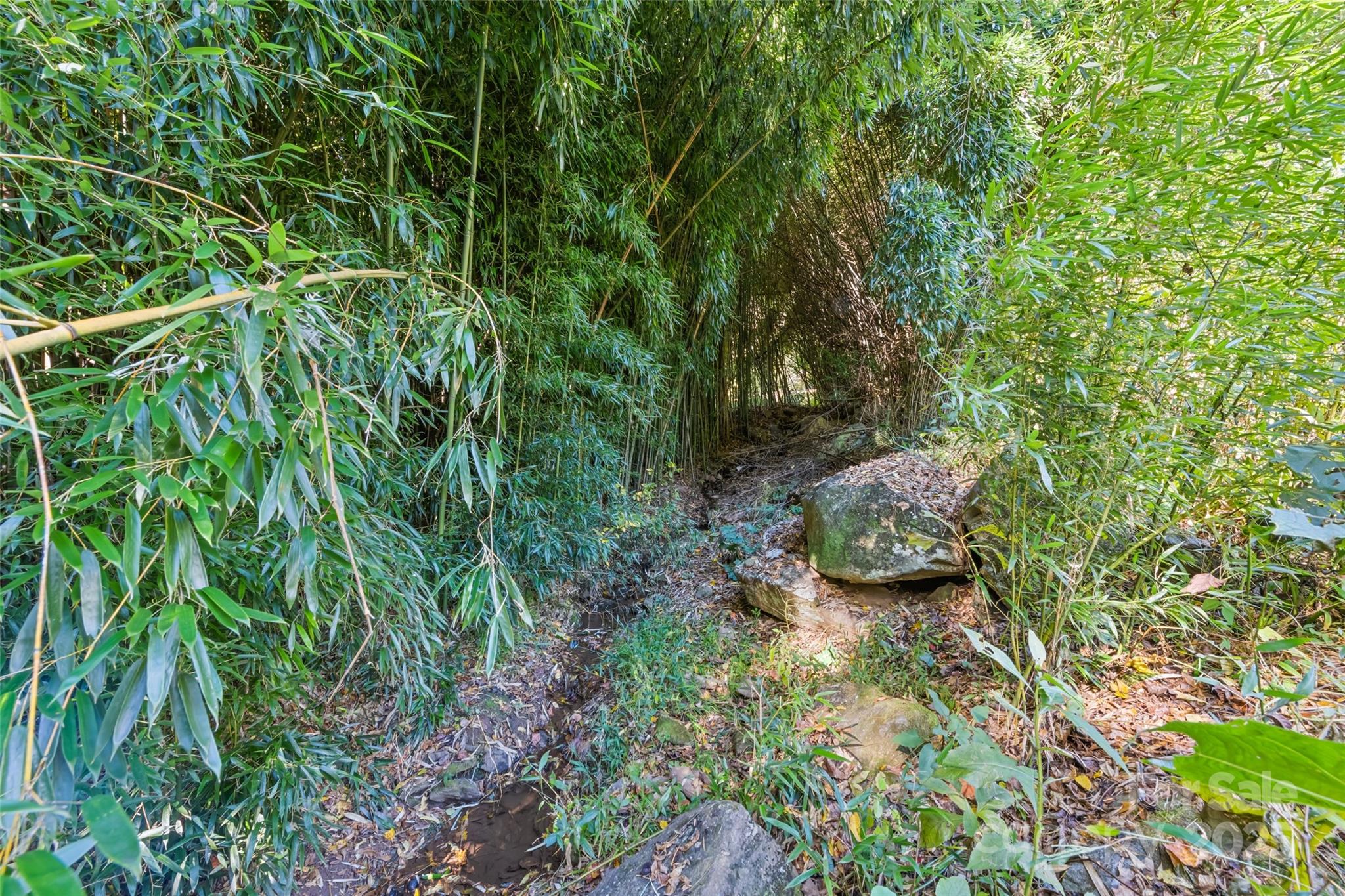 1807 Fisher Creek Road Sylva NC 28779