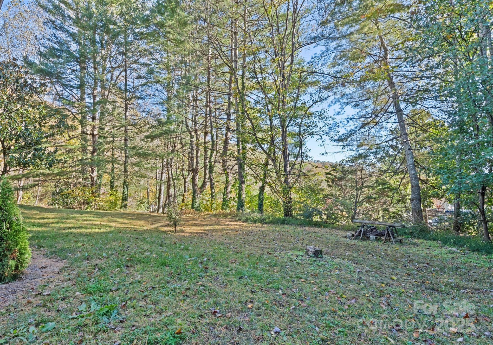 1807 Fisher Creek Road Sylva NC 28779