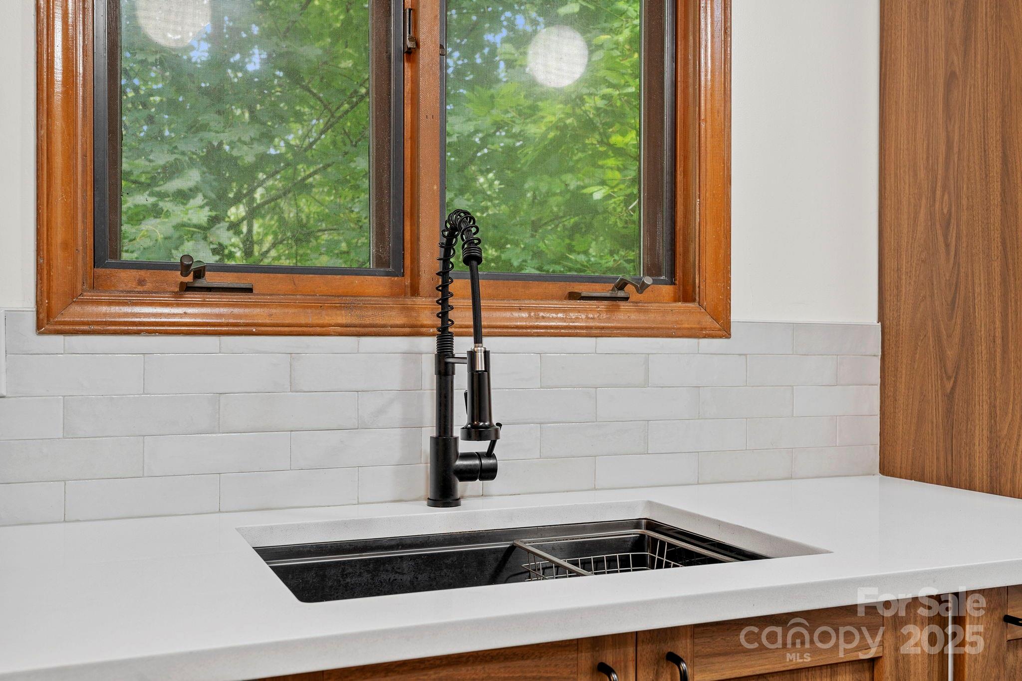 39 Spooks Branch Extension Asheville NC 28804