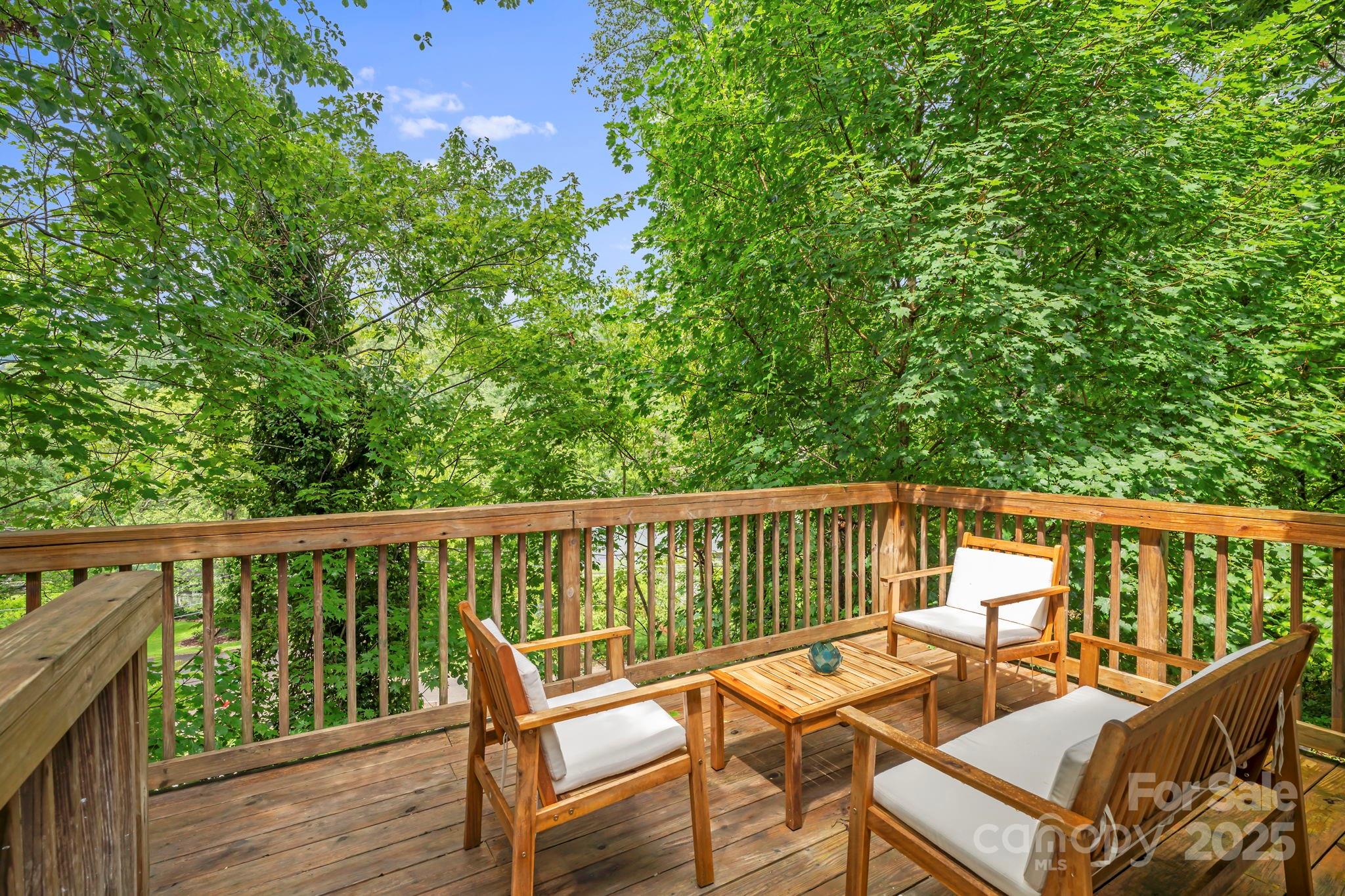 39 Spooks Branch Extension Asheville NC 28804