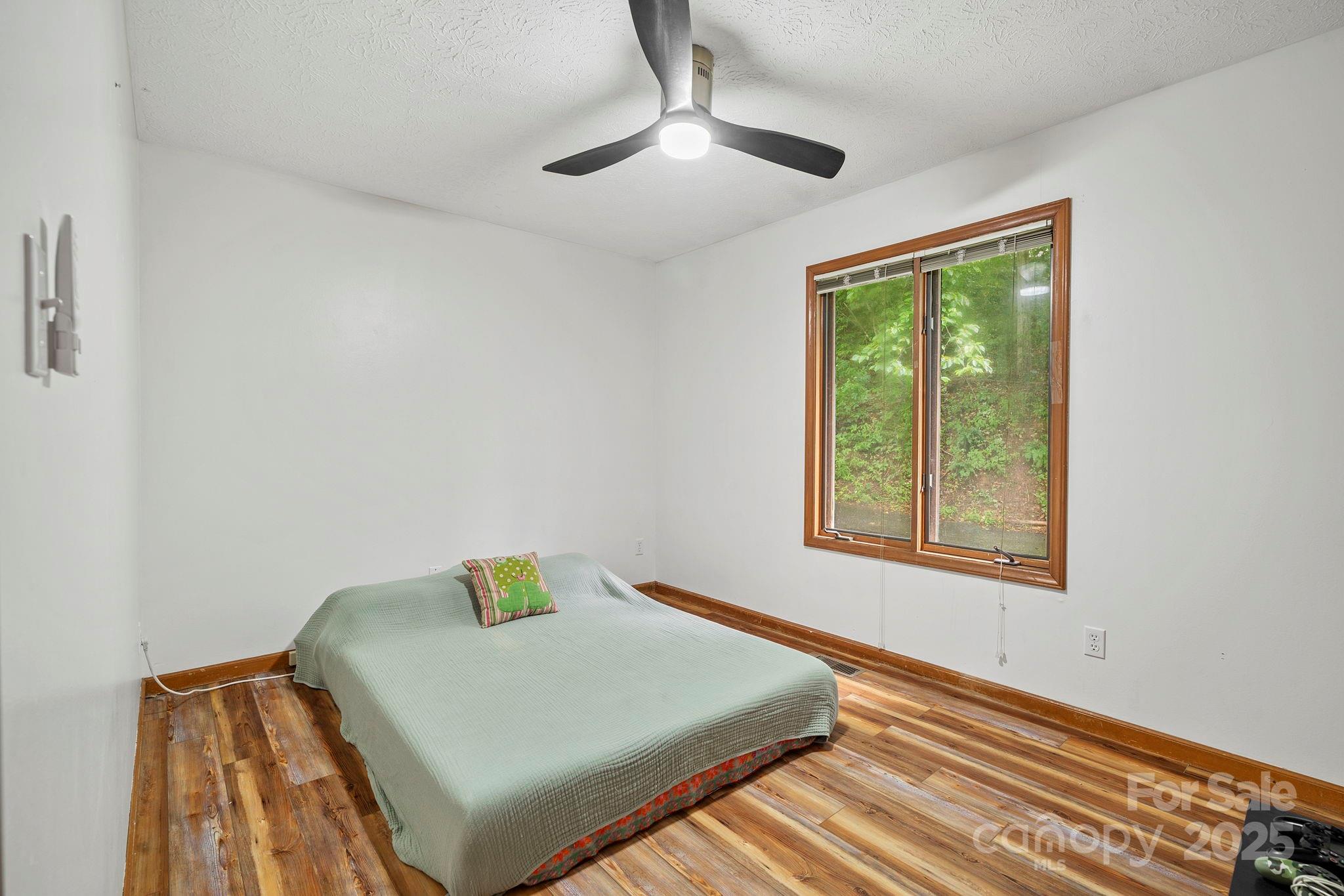 39 Spooks Branch Extension Asheville NC 28804