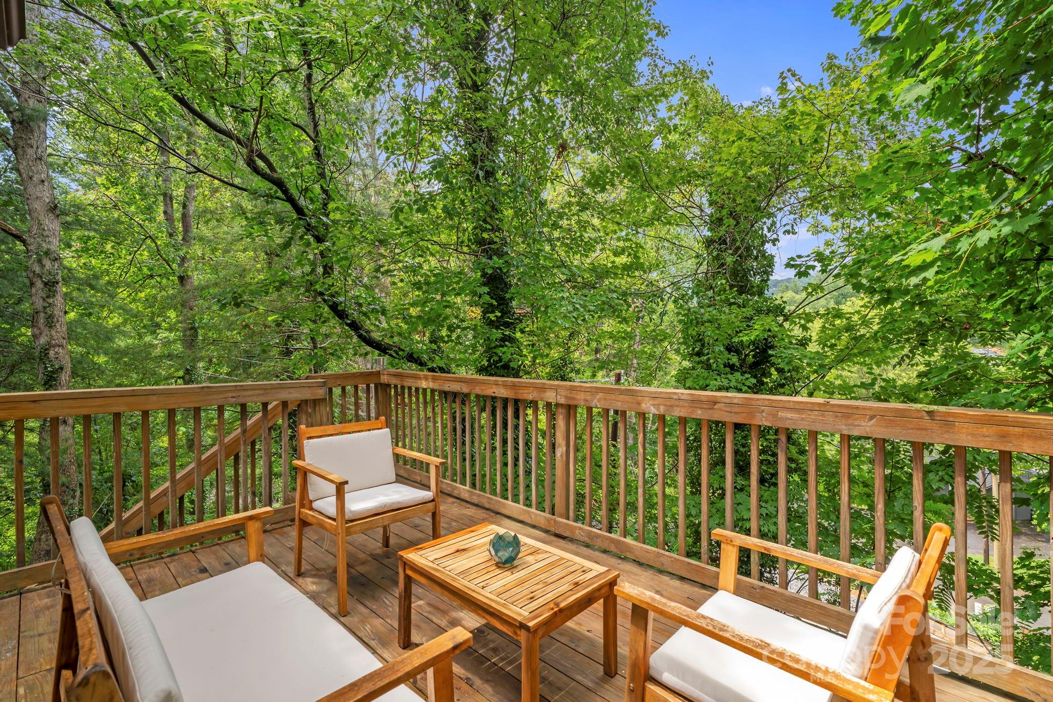 39 Spooks Branch Extension Asheville NC 28804