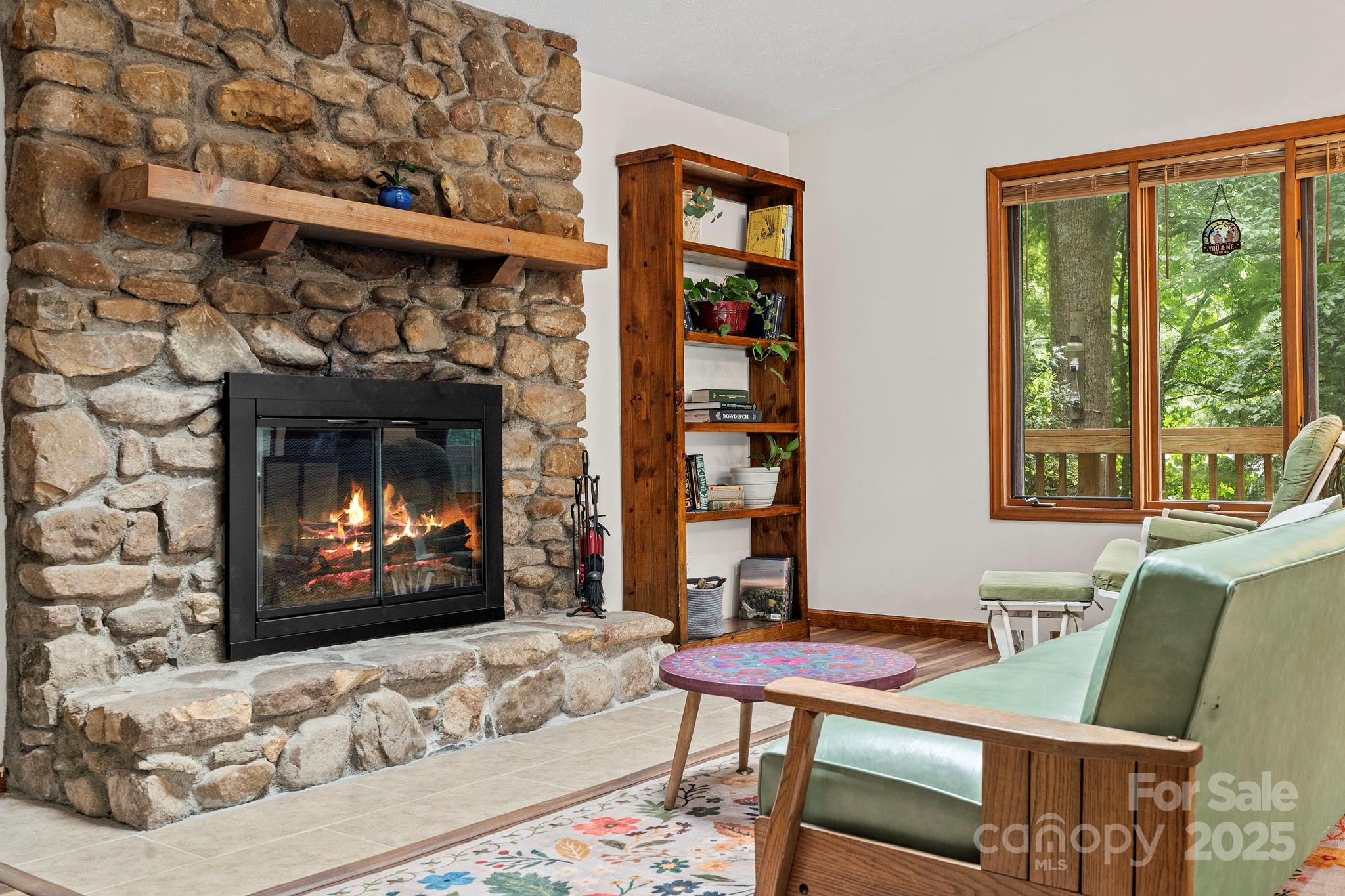 39 Spooks Branch Extension Asheville NC 28804