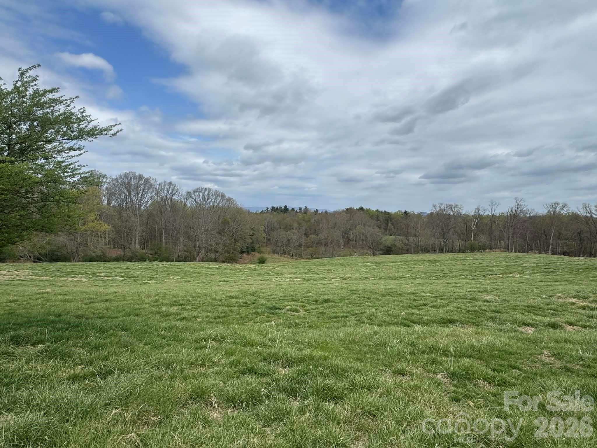 3556 White Plains Road Roaring River NC 28669