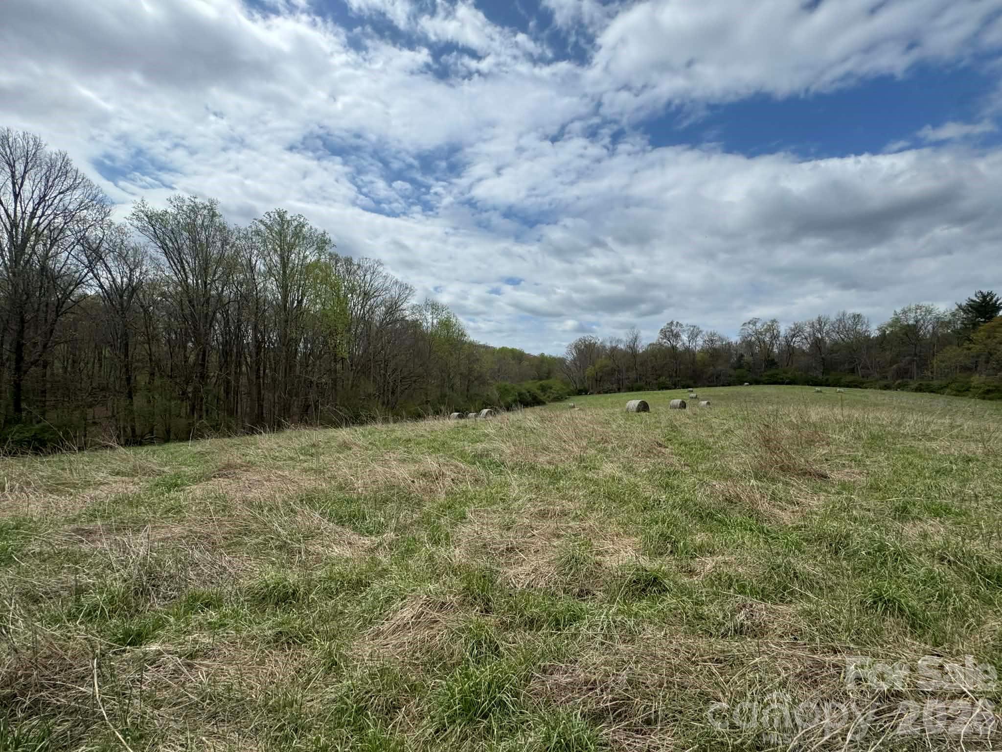 3556 White Plains Road Roaring River NC 28669
