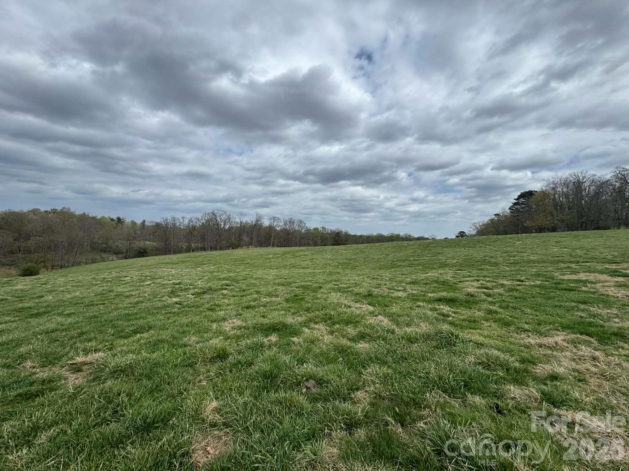 3556 White Plains Road Roaring River NC 28669