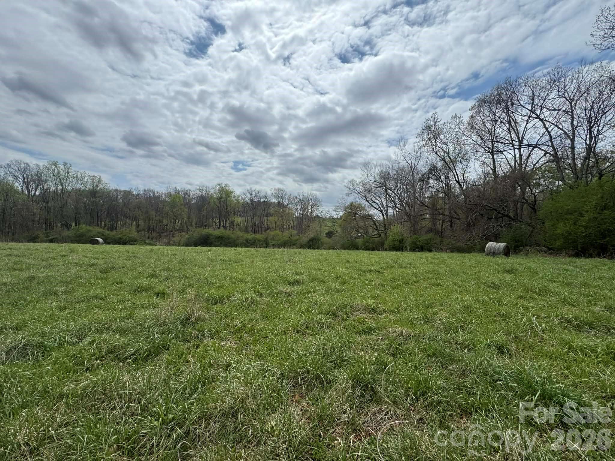 3556 White Plains Road Roaring River NC 28669