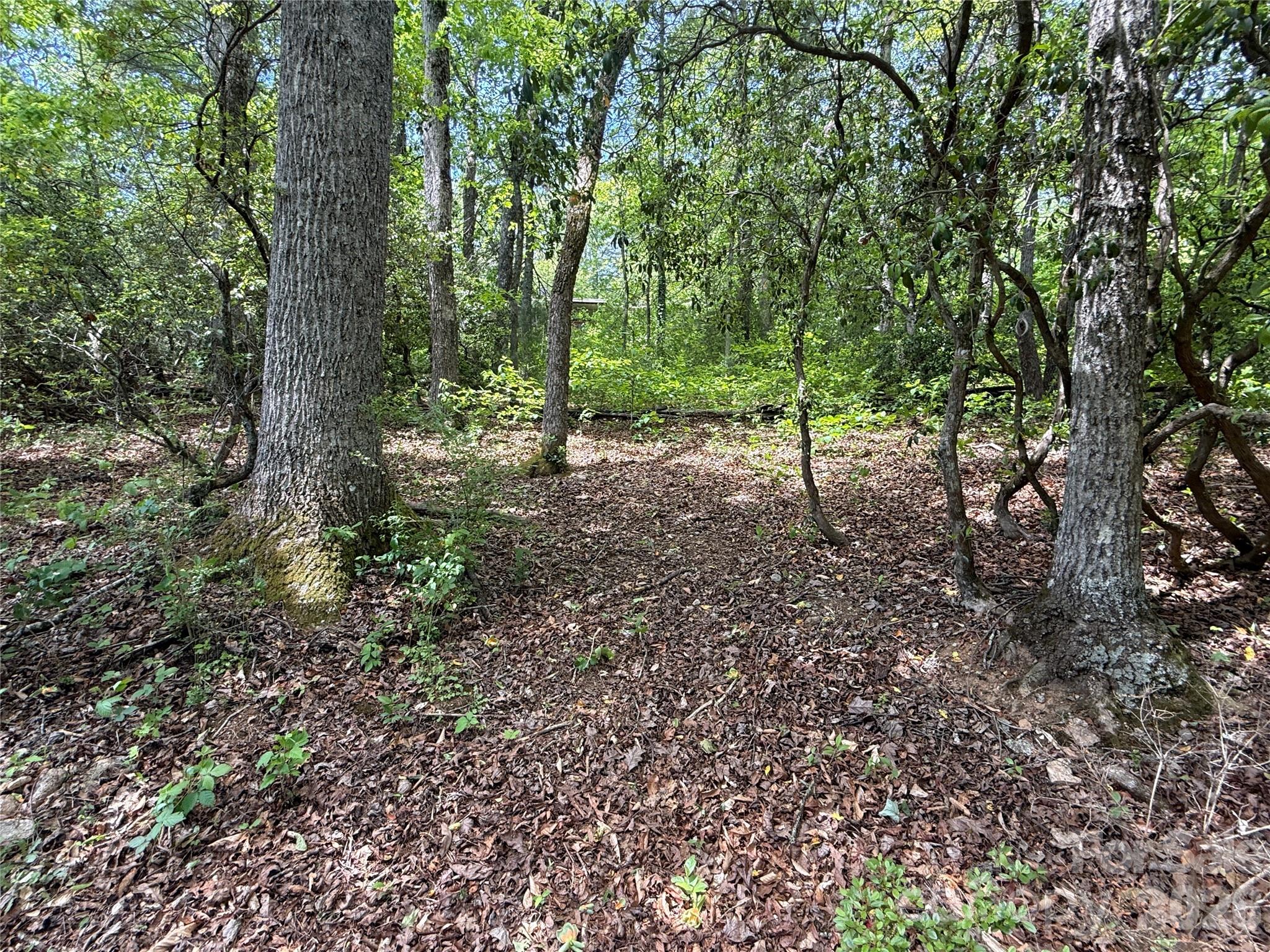 39 Lisa Court Otto NC 28763